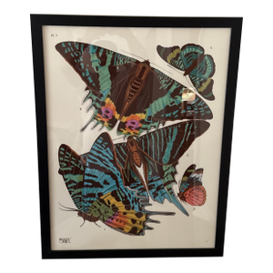 Vintage Insects Giclee Print After Emile-Allain Seguy ~Framed