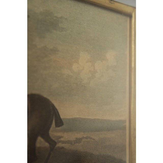English Traditional Antique Framed Equestrian Print, 'Rubbing Down' For Sale - Image 15 of 18