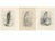 Stonham, British Harrier Bird, 1908, Lithographs, Set of 2 For Sale - Image 3 of 9