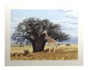 Dallas John "Savanna" Realistic Serigraph Art Print 1979 Unframed Giraffe African Landscape