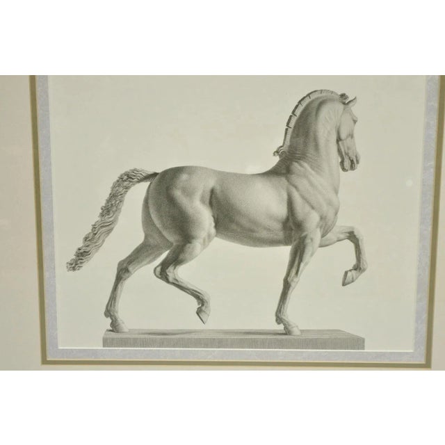 Late 20th Century Vintage Regal Horse Sketch Equestrian Print Framed Art Wall Decor, Set of 2 For Sale - Image 4 of 12