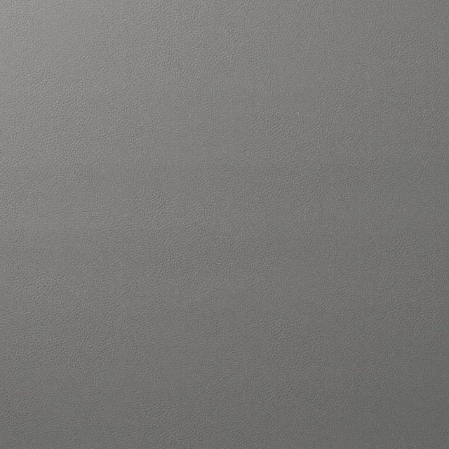 Schumacher Indoor/Outdoor Vegan Leather Fabric in Platinum For Sale