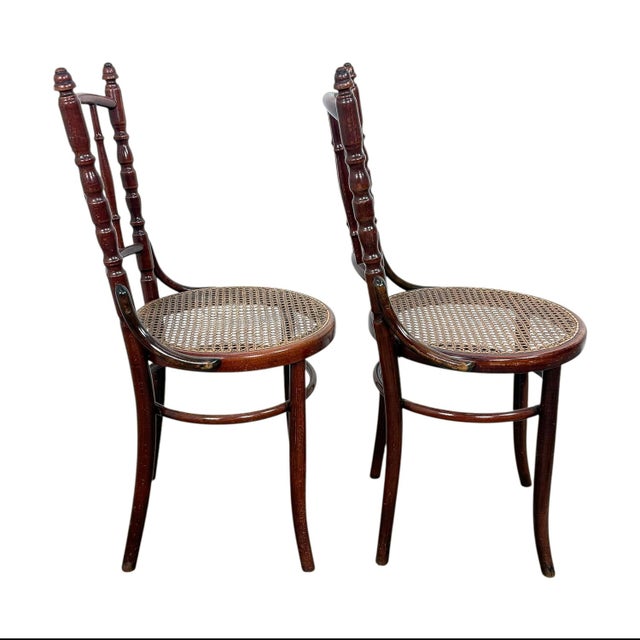 Antique Fischel Bentwood Chairs with Cane Seats, 1890s, Set of 2 For Sale - Image 5 of 14