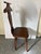 Bring timeless mid-century utility and sophisticated charm to your bedroom or dressing area with this vintage gentleman's...