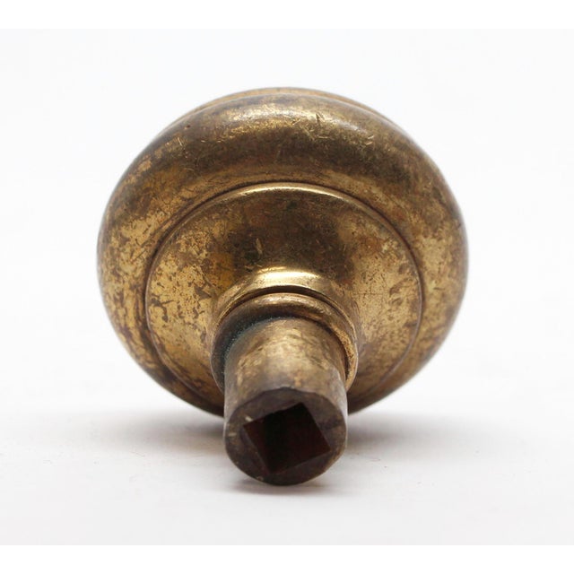 Vintage Tulip Brass Door Knob For Sale - Image 4 of 4
