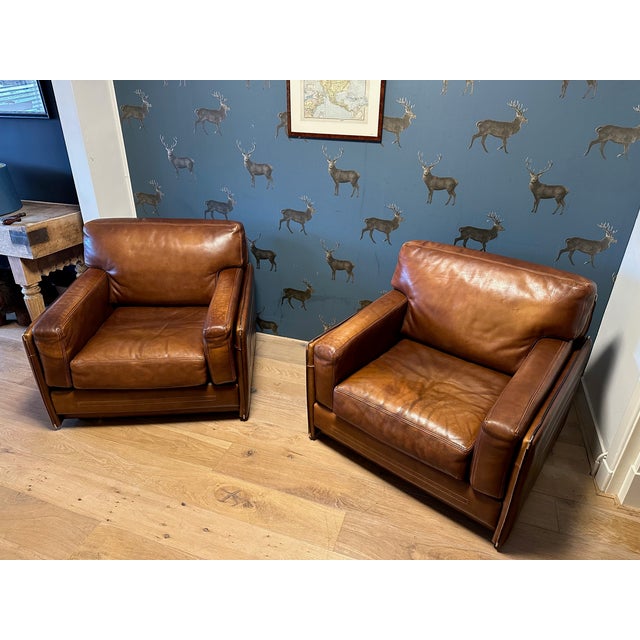 Vintage Chairs in Buffalo Leather, 1990s, Set of 2 For Sale - Image 11 of 18