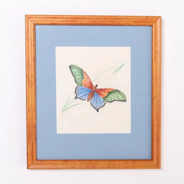Vintage Set of Six Moth Watercolors For Sale In West Palm - Image 6 of 7