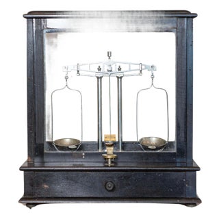 20th Century French Glass Case Scale For Sale