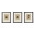 1796 Giovanni Battista Cipriani Set of Temple of Mars the Avenger Architectural Etchings - Set of 3 For Sale