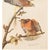 John James Audubon 1966 Vintage Cottage Print "Red-Shouldered Hawk" After John James Audubon For Sale - Image 4 of 9