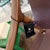 Alfonso Marina Montholier Leather Wood Chair For Sale - Image 11 of 12