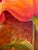 Orange Oil Painting - Floral For Sale - Image 8 of 14