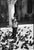 Paul Cooklin, Blind Man Feeding Pigeons, Edition of 50 For Sale - Image 7 of 7
