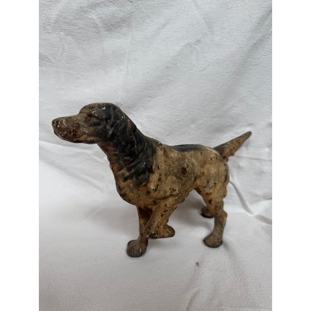 Posing English Setter Ready for the Hunt For Sale - Image 10 of 12