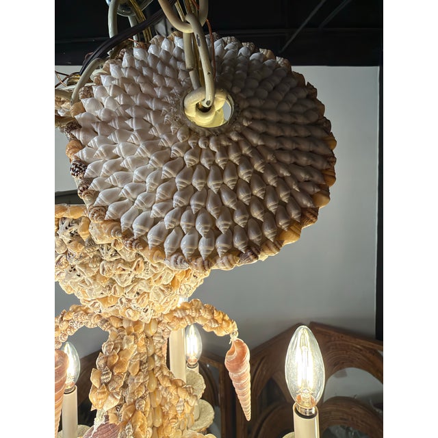 Vintage Coastal Shell Seashell Encrusted Coastal Palm Beach 12 Light Chandelier For Sale - Image 12 of 12