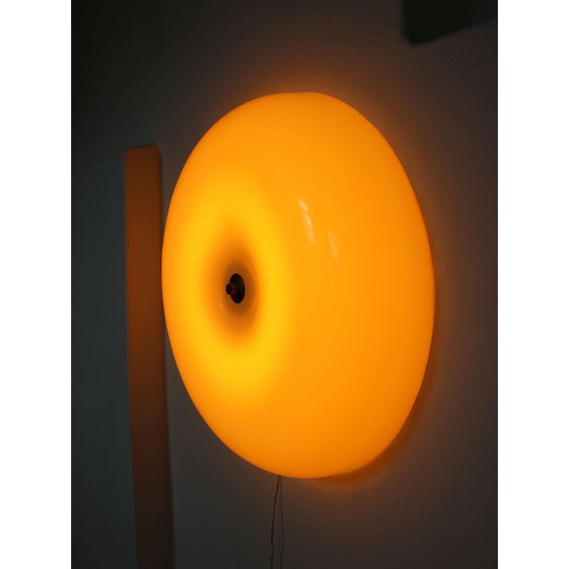 Large Mid-Century Modern Italian Acrylic Glass and Brass Wall Lamp For Sale - Image 5 of 18