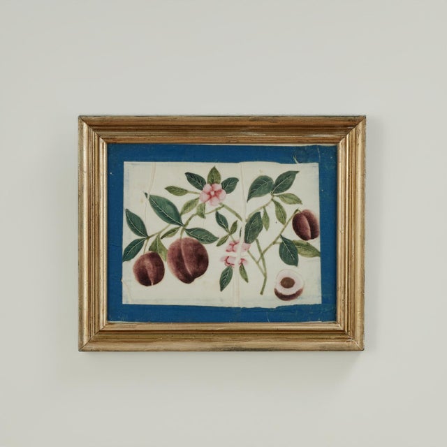 Set of Nine Antique Chinese Botanical Fruit Paintings on Pith Paper For Sale - Image 4 of 18