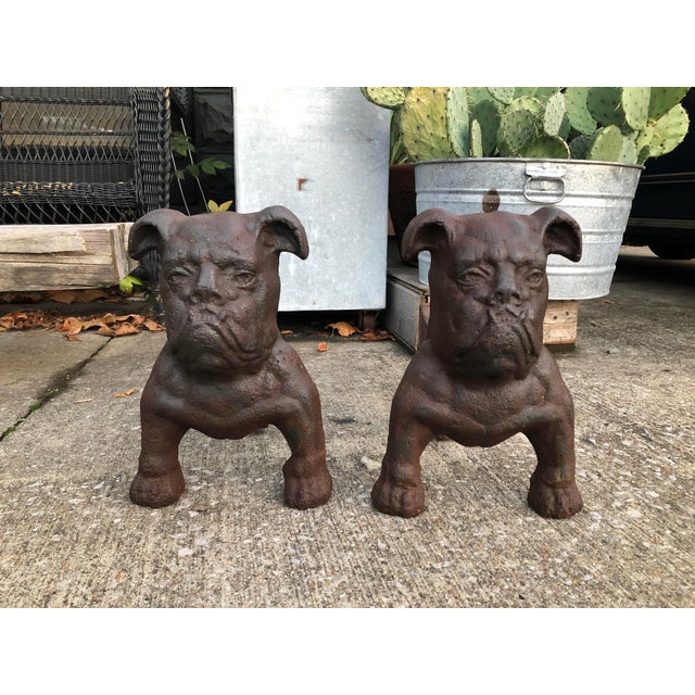 Early Bulldog Iron Andirons a Pair Chairish