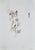 Standing Male Nude is an original Contemporary Artwork realized in the 1970s Original colored ink on paper. Mint...