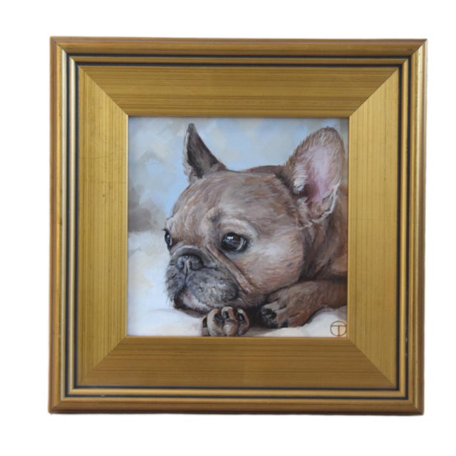2020s French Frenchie Bull Dog Portrait Painting Including the Antiqued Gold Wood Frame For Sale - Image 5 of 5
