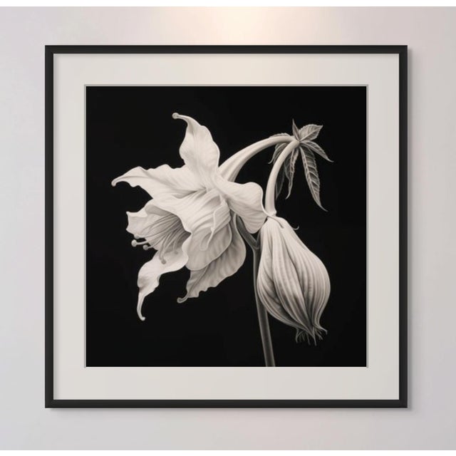 Contemporary Brugmansia Flower No. 1 — Black and White Vintage Botanical Photography Print For Sale - Image 3 of 3