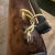 1980s Modern Brown Velvet and Leather Italian Hand-Bag by Morando For Sale - Image 16 of 17