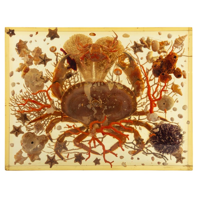 This striking sculptural composition by Pierre Girardon exemplifies the mid-20th-century fascination with natural history...