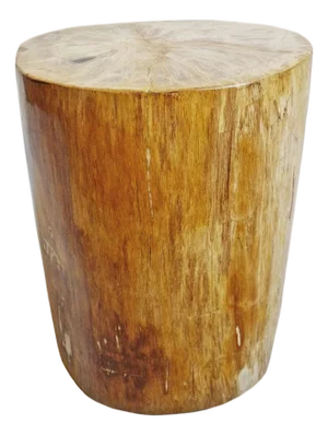 Petrified Stump Vintage Side Table