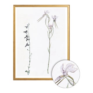 Celerie Kemble Curated Australian Botanical X (40x60) in Gold Frame For Sale