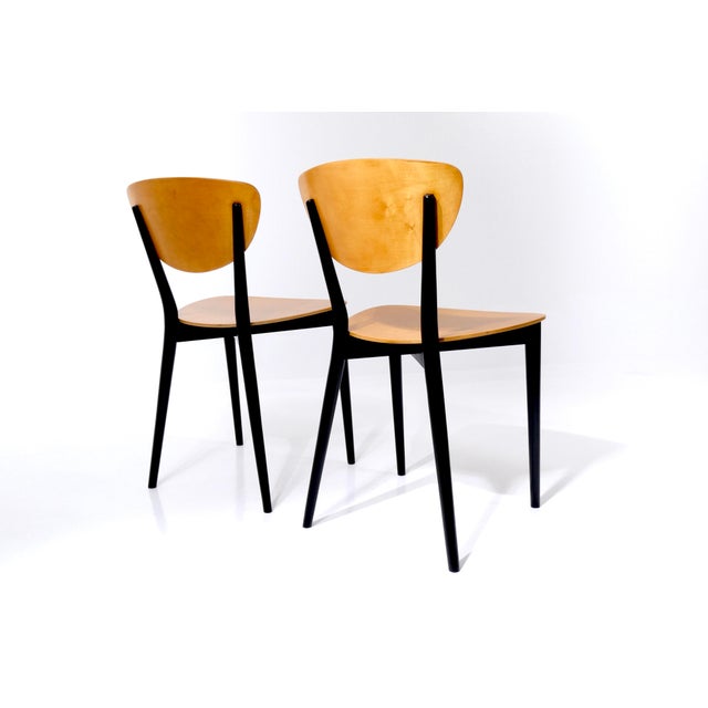 Vintage Swiss Chairs by Kurt Thut, 1953, Set of 4 For Sale - Image 9 of 18