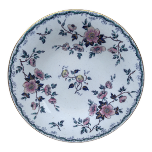 19th Century English Ironstone China Flowers Plate