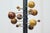 AT16 Coat Rack by Osvaldo Borsani for Tecno, 1960 For Sale - Image 10 of 12