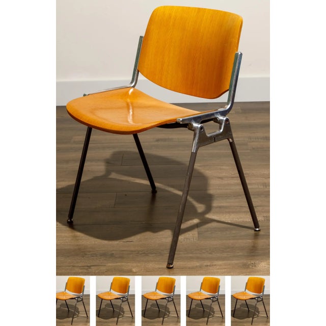 Giancarlo Piretti for Castelli 'Dsc 106' Stacking Dining Chairs, C 1965, Signed For Sale - Image 16 of 17