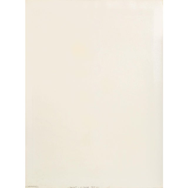 Domenick Capobianco Lithograph and Screenprint, 2 For Sale In New York - Image 6 of 14