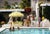 Poolside Party 1970 Guests by the pool at Nelda Linsk’s desert house in Palm Springs, January 1970. The house was designed...