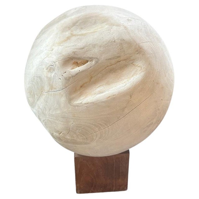 Andrianna Shamaris Sculptural Bleached Sphere on a Stand For Sale In New York - Image 6 of 18