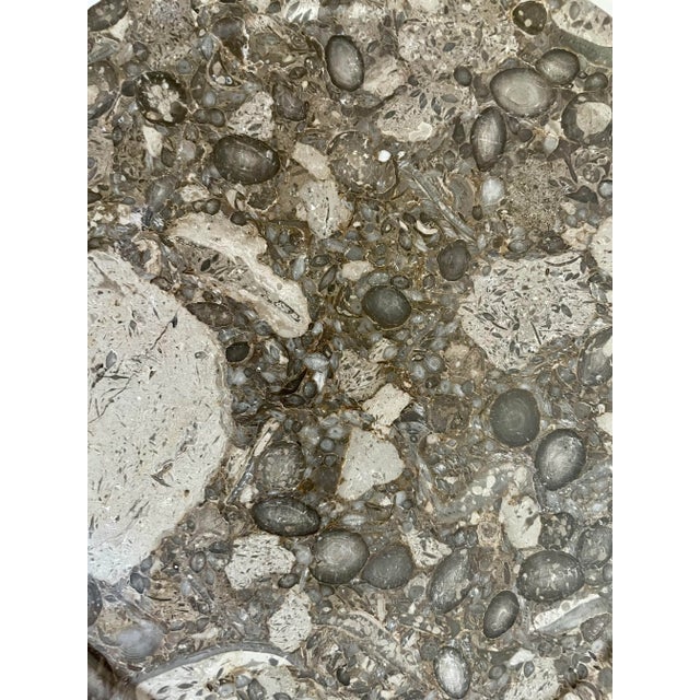 Here is a lovely double handled tray made of a natural, fossilized stone with lots of variation. The piece itself is...
