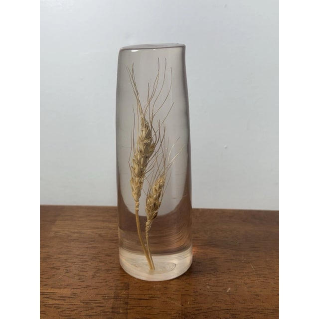 Vintage Daisyglas Hand Crafted Lucite Resin Wheat Paperweight Decor Campbell Ca For Sale In Philadelphia - Image 6 of 11