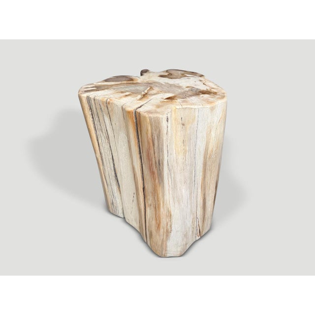 2020s Andrianna Shamaris Impressive High Quality Ancient Petrified Wood Side Table For Sale - Image 5 of 5