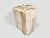 2020s Andrianna Shamaris Impressive High Quality Ancient Petrified Wood Side Table For Sale - Image 5 of 5