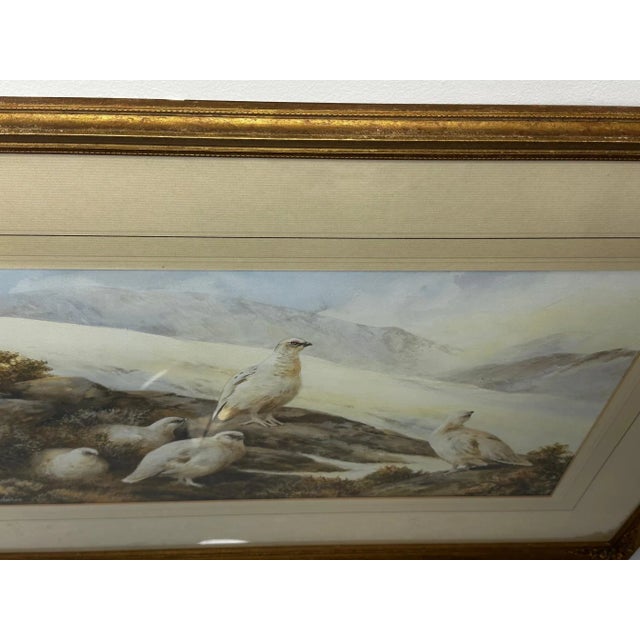 Ornithology Watercolor Highland Moors Wildlife Covey of Ptarmigan Game Birds by Neil Cox For Sale - Image 9 of 12