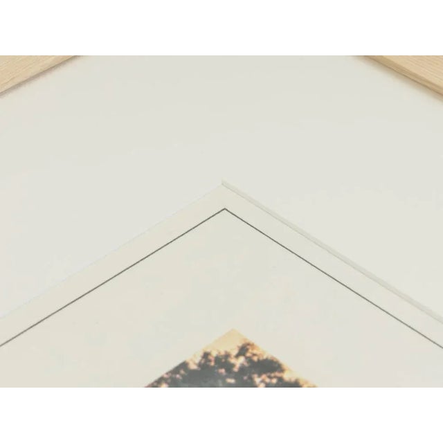 Vintage Woodstock Film Poster, 1960s For Sale - Image 12 of 15