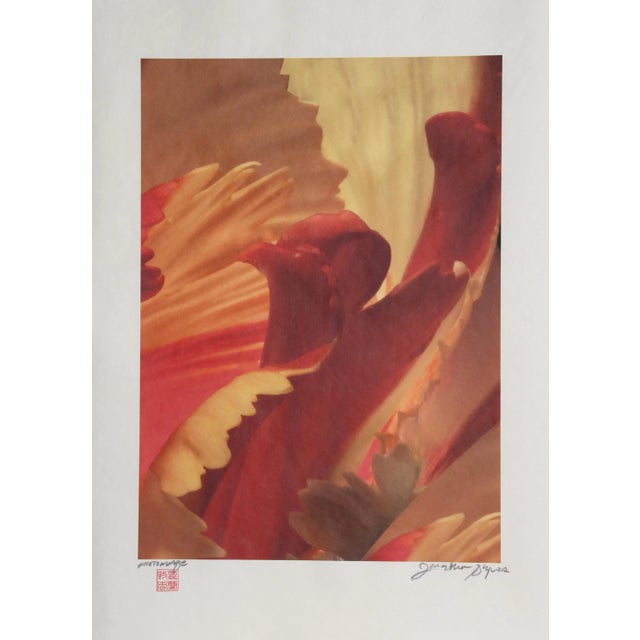 Red and Orange Waves, Jonathan Singer Digital Photo on Japon Paper, Signed For Sale - Image 4 of 4