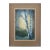 Late 20th Century Eric C Johnson Original Watercolor Painting of Birch Trees Signed & Framed For Sale