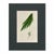 Set of 6 Antique Hand-Colored Sowerby Seaweed & Marine Algae Botanical Prints For Sale - Image 4 of 8