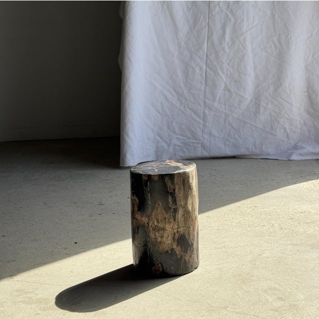 1980s Small Side Table in Black Petrified Wood with Beige Striations, 1980s For Sale - Image 5 of 18