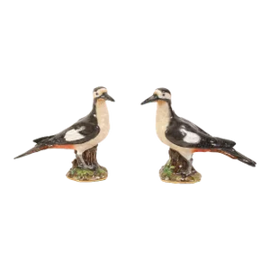 Large Antique 19th Century German Meissen Porcelain Woodpecker Birds - a Pair