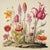 English Antique Botanical Garden Study - Natural History Fine Art Print For Sale - Image 3 of 4