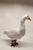 Mid 20th Century Mid 20th Century Ceramic Italian Goose For Sale - Image 5 of 10