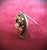Art Nouveau Antique Gold Art Nouveau Oval Lady Lapel Pin With Bow For Sale - Image 3 of 11